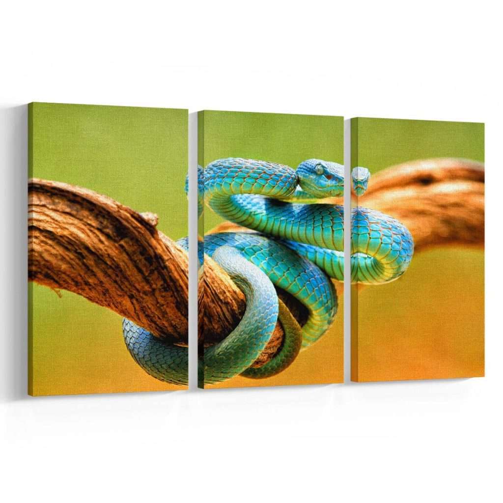 Serpiente Azul