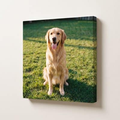 cuadros canvas