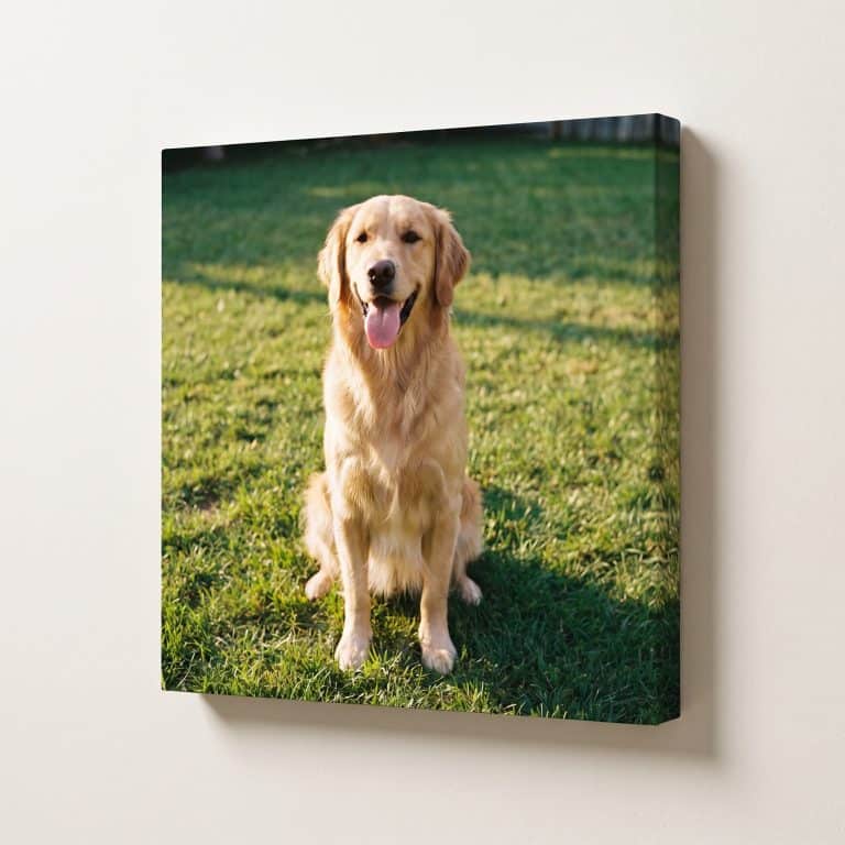 cuadros canvas