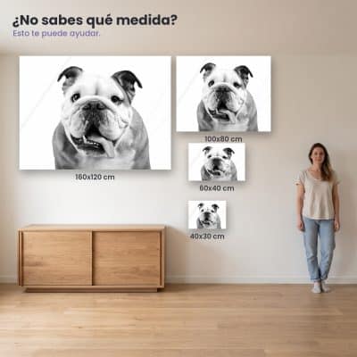 cuadros acrilico