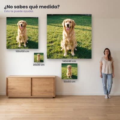 cuadros canvas