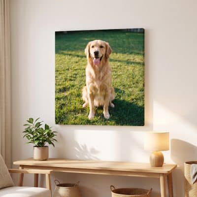 cuadros canvas