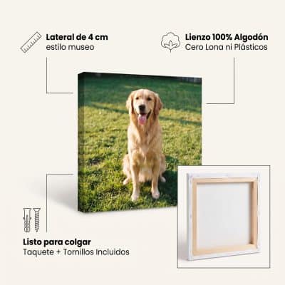 cuadros canvas