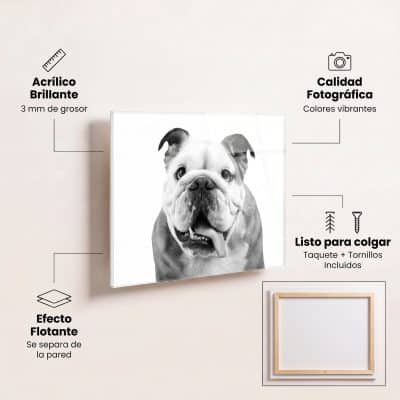 cuadros acrilico