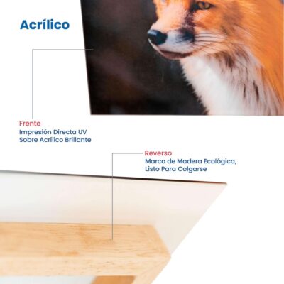 Cuadros Acrílico México