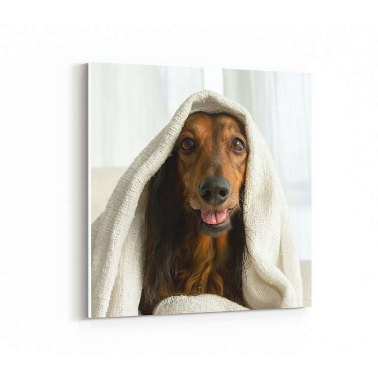 cuadros personalizados