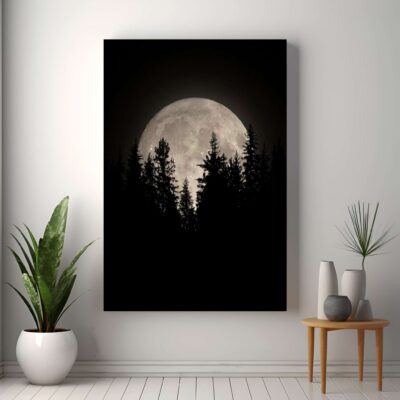 Bosque de Noche