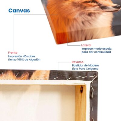 cuadros canvas