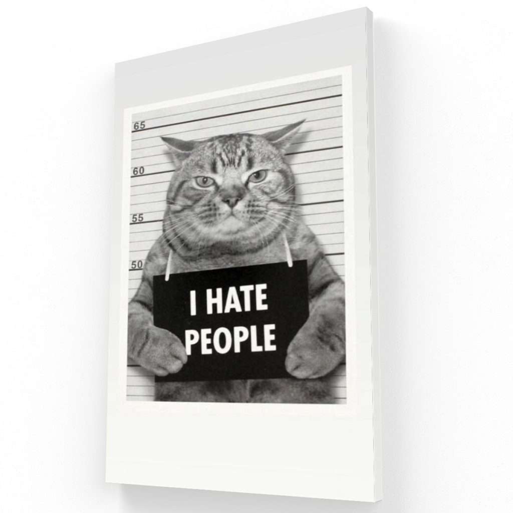 Gato preso
