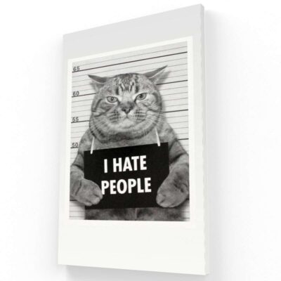 Gato preso