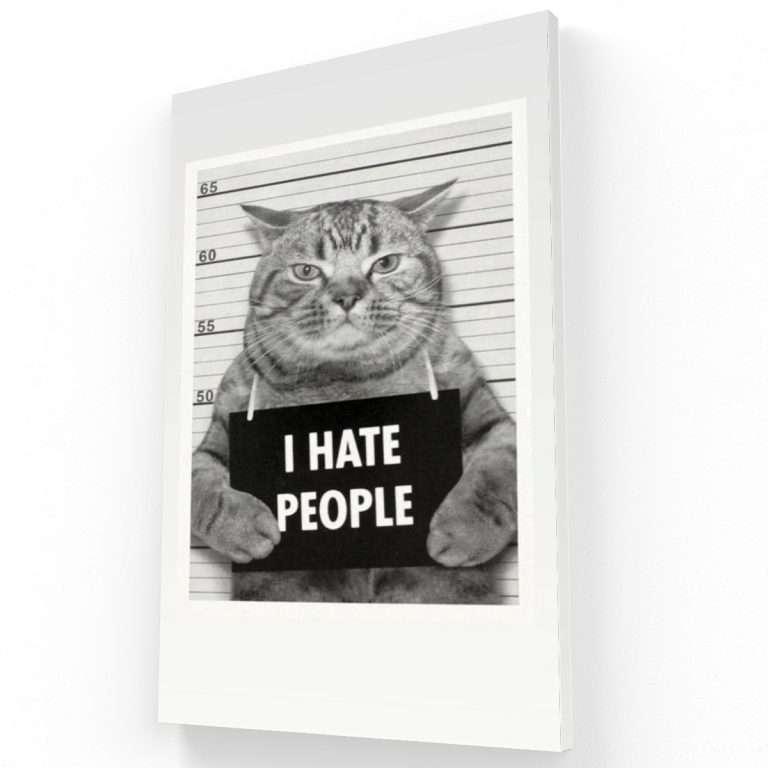 Gato preso