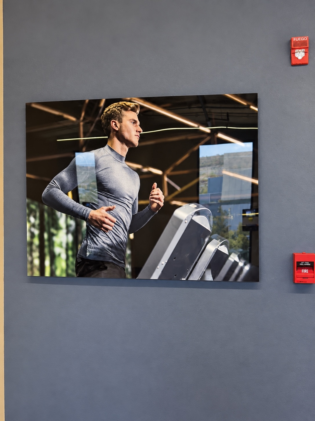 Cuadros de Fotos Personalizado | Canvas y Acrílico HD Acrílico deportivo en un gimnasio