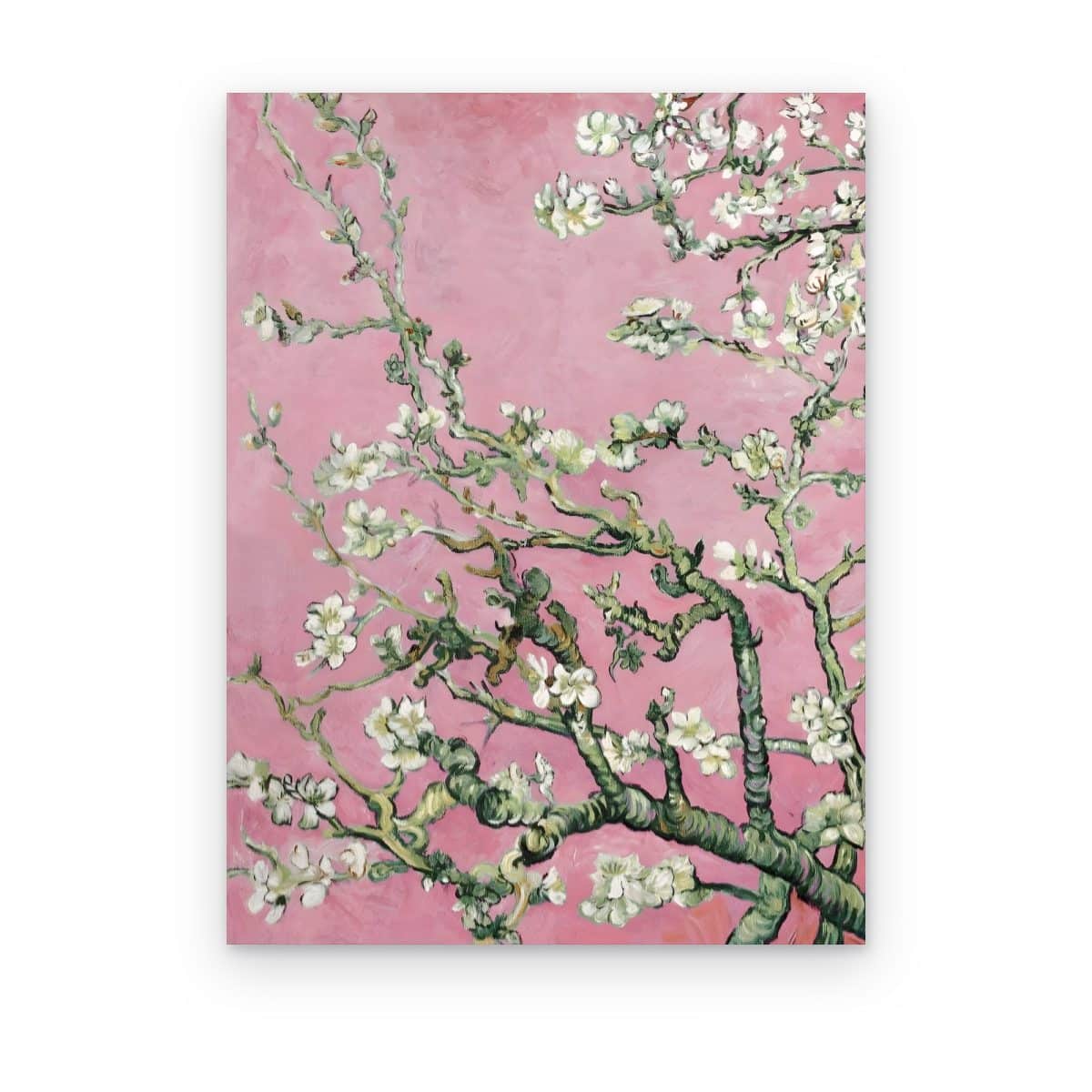 Cuadro Almendro Rosa impreso en canvas, ramas de almendro con flores blancas sobre fondo rosa