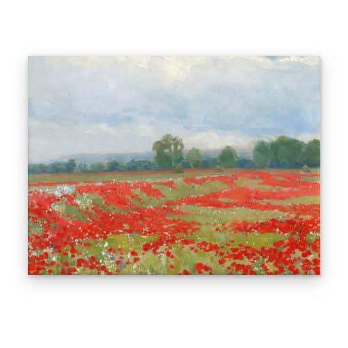 Amapolas bajo las Nubes
