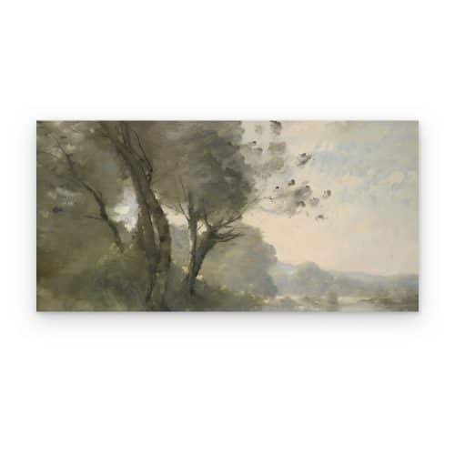 Árboles en la Bruma