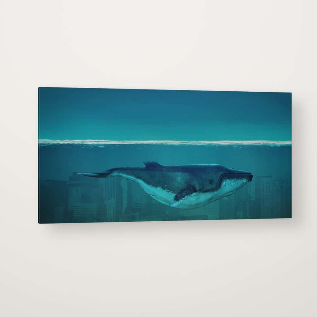 Ballena Azul en canvas con canto en espejo