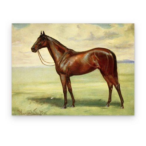 Caballo Alazán