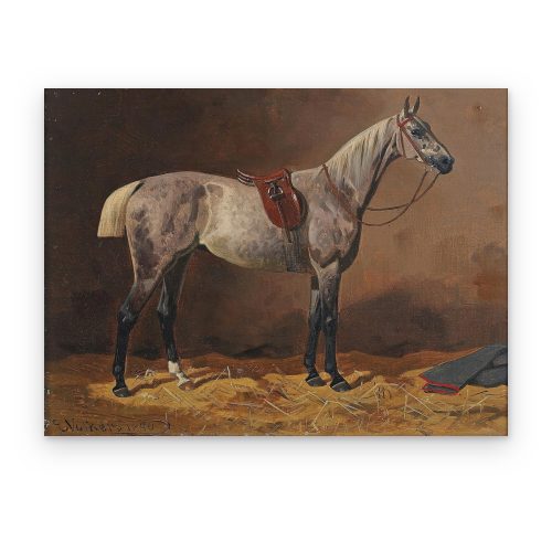 Caballo Gris Ensillado
