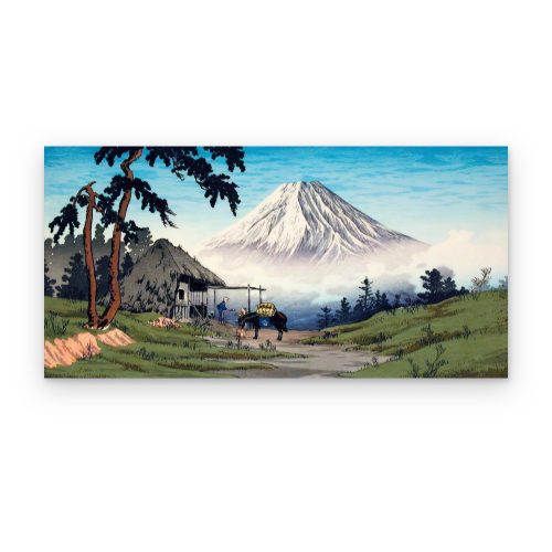Camino al Fuji