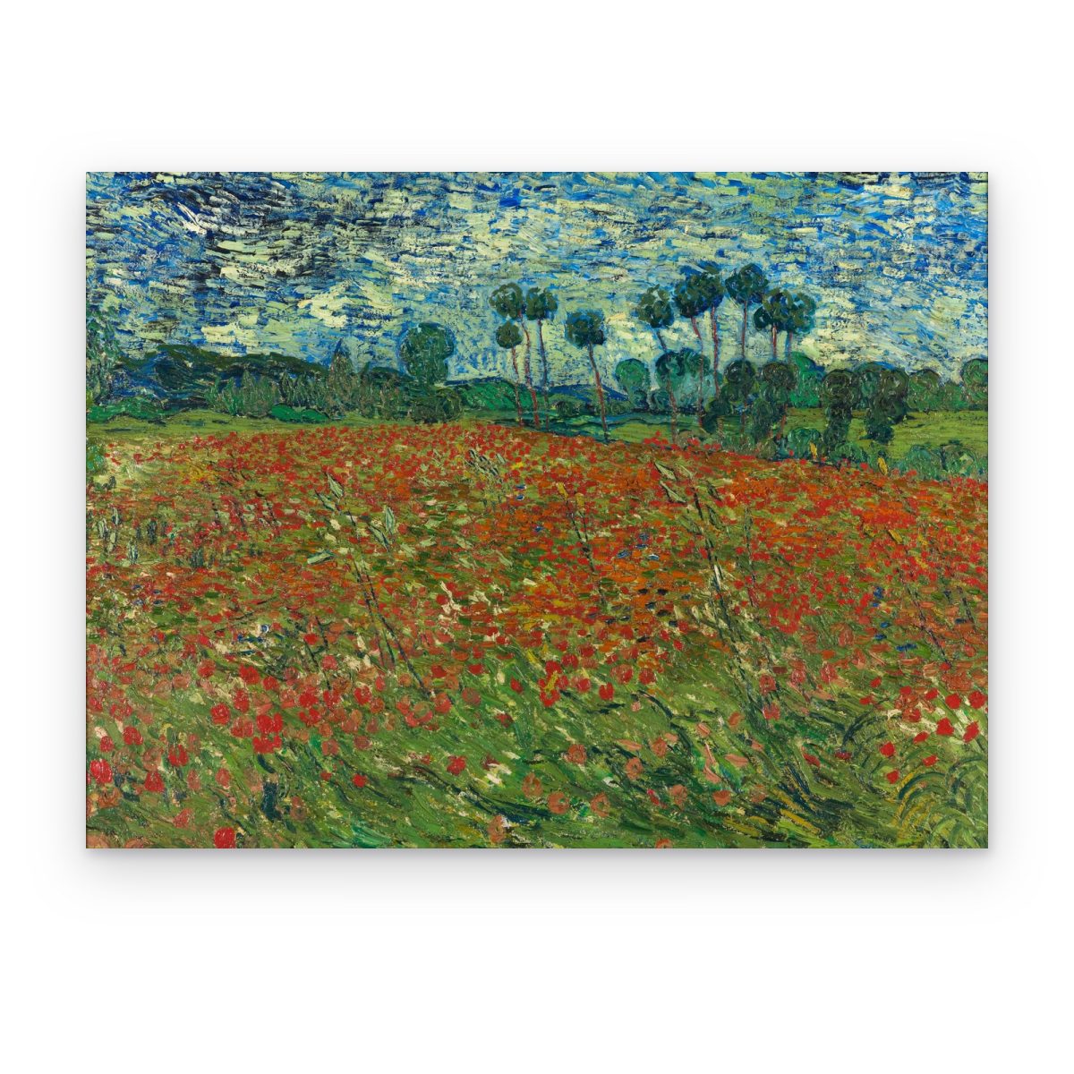 Cuadro Campo con Amapolas de Van Gogh impreso en canvas, campo de amapolas rojas con árboles y cielo azul