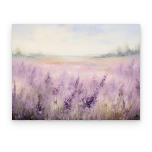 Campo de Lavanda