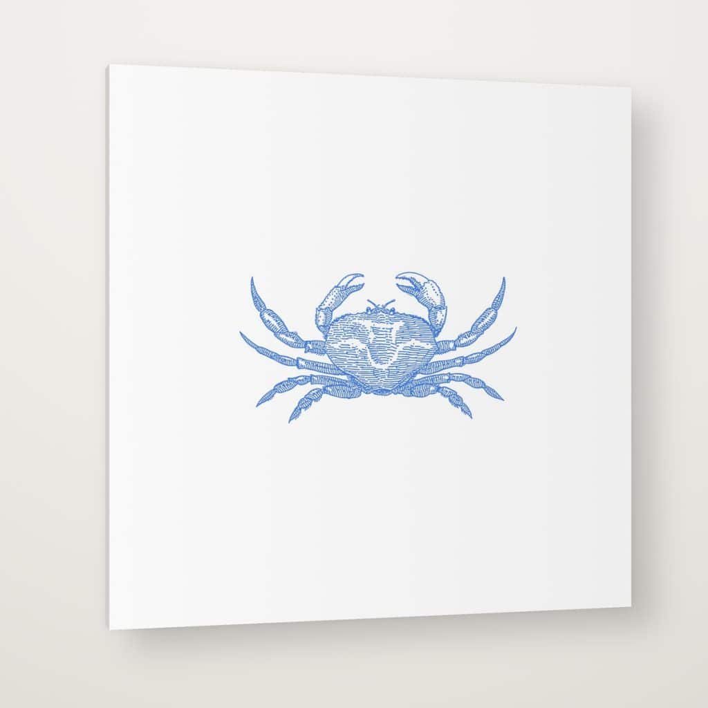 Cangrejo Azul en canvas con canto en espejo