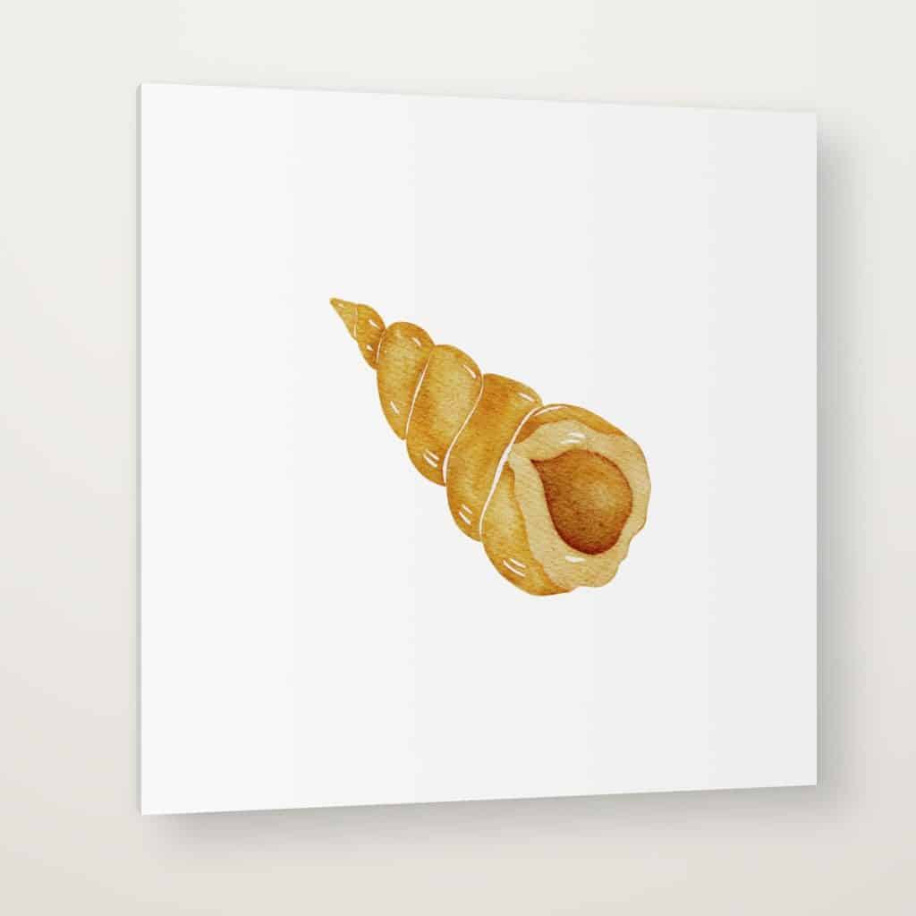 Caracol Dorado en canvas con canto en espejo