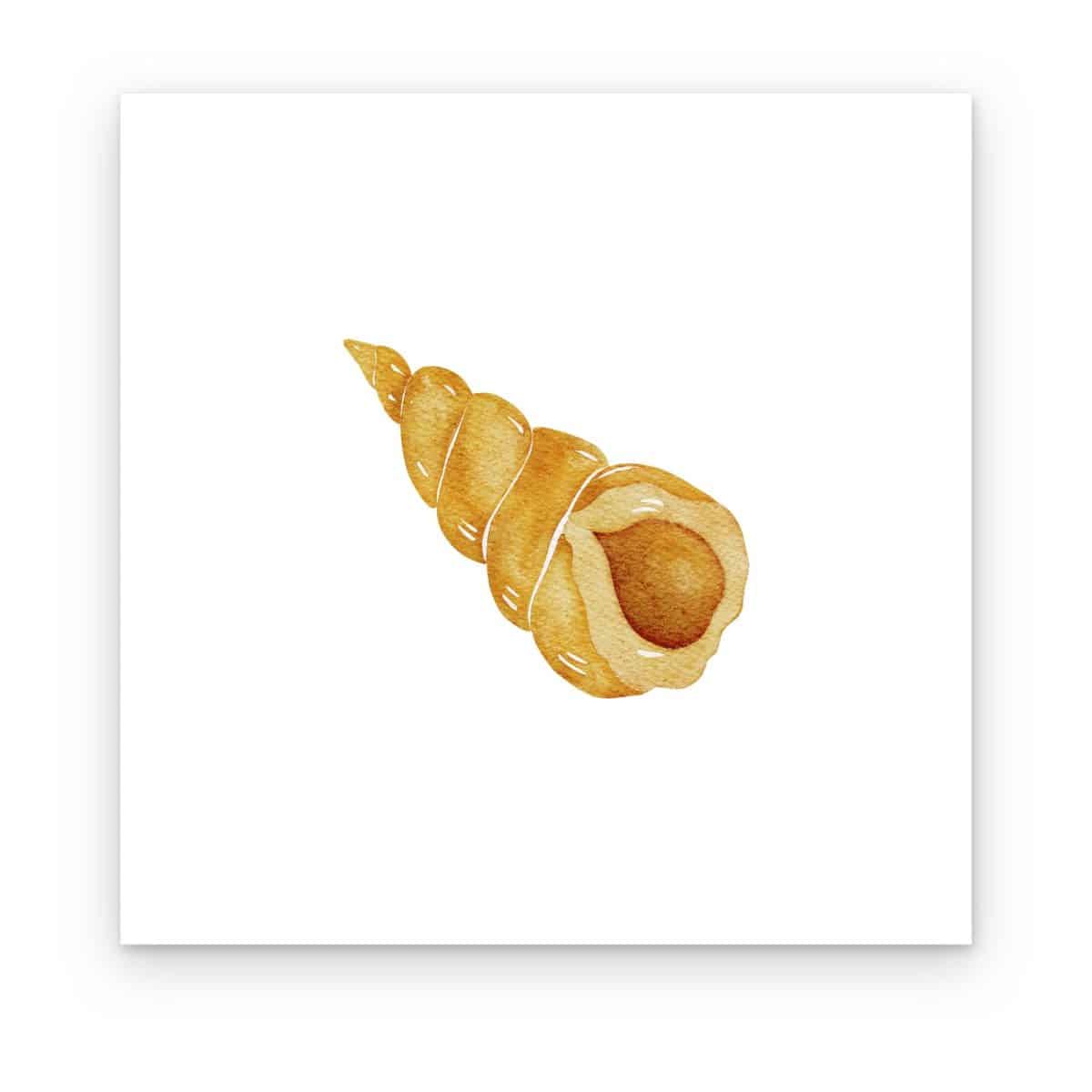 Cuadro Caracol Dorado impreso en canvas, caracol de mar en acuarela dorada