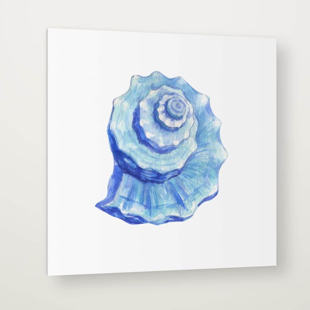 Caracola Azul en canvas con canto en espejo
