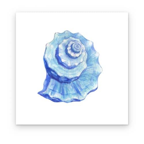 Caracola Azul