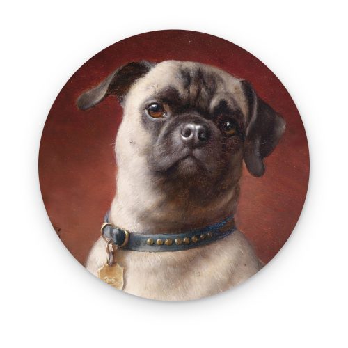 Pug Aristócrata