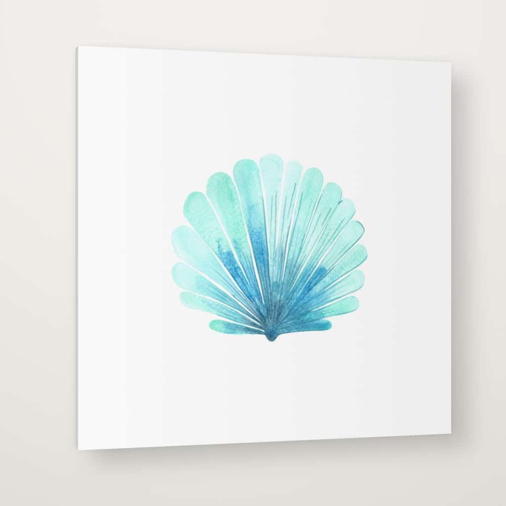 Concha Turquesa en canvas con canto en espejo