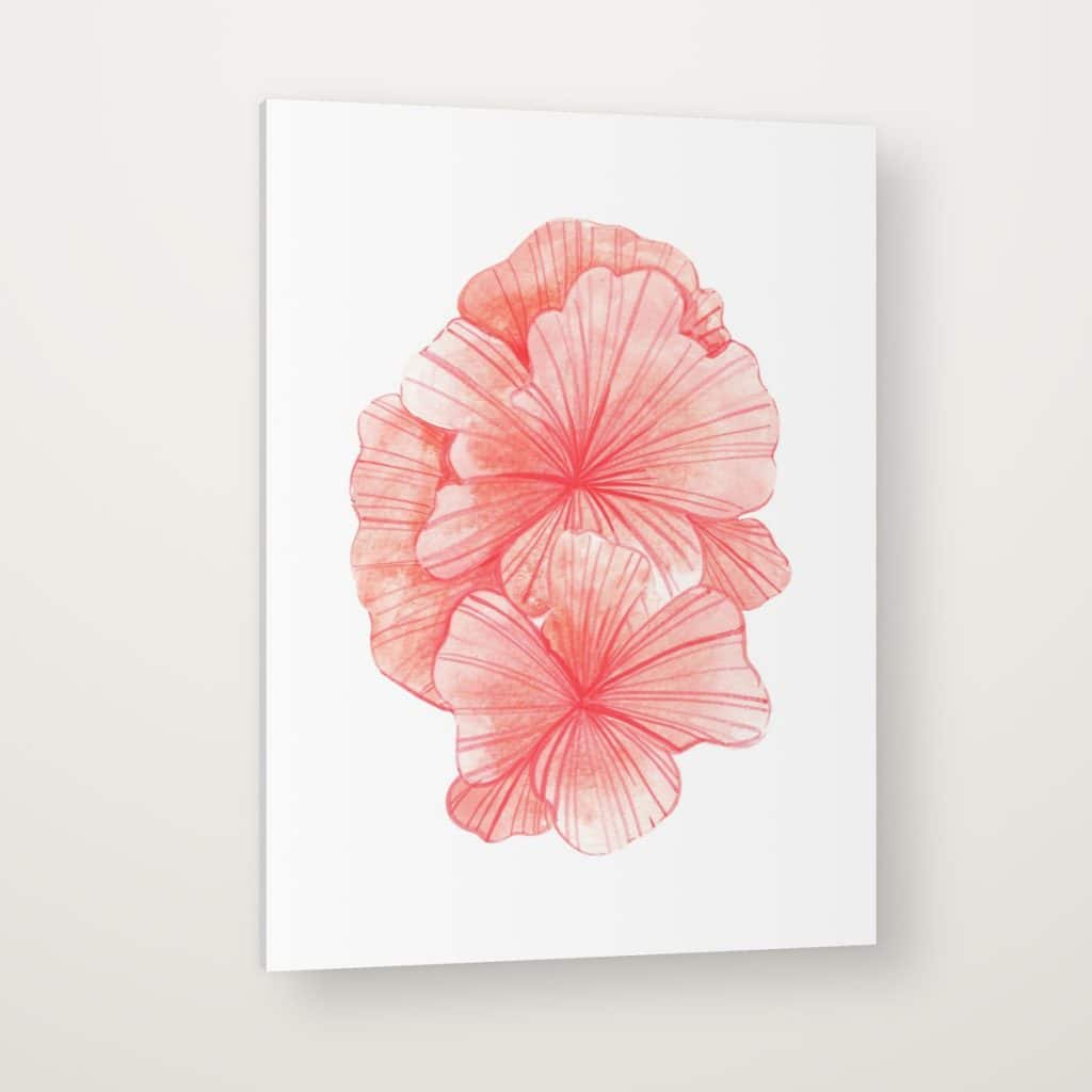 Coral en Flor en canvas con canto en espejo