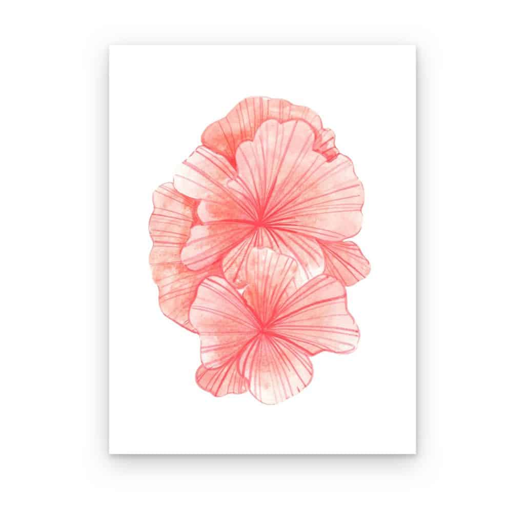 Cuadro Coral en Flor impreso en canvas, abanicos rosa coral con nervaduras finas