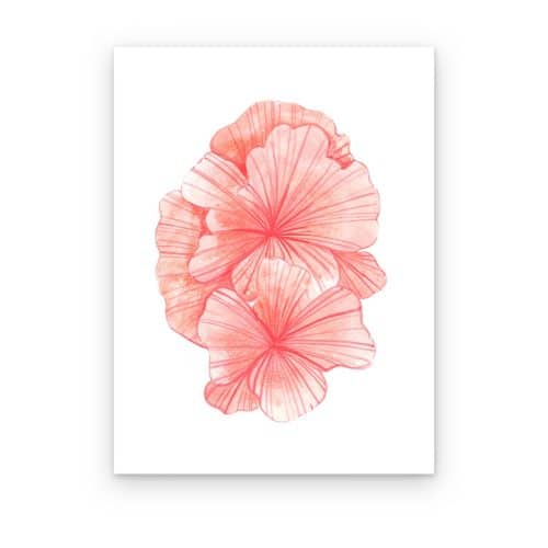Coral en Flor