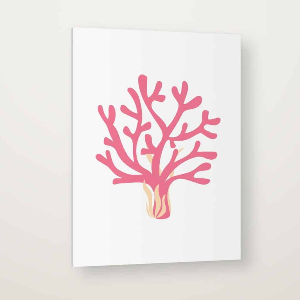 Coral Fucsia en canvas con canto en espejo