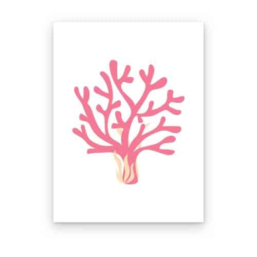 Coral Fucsia