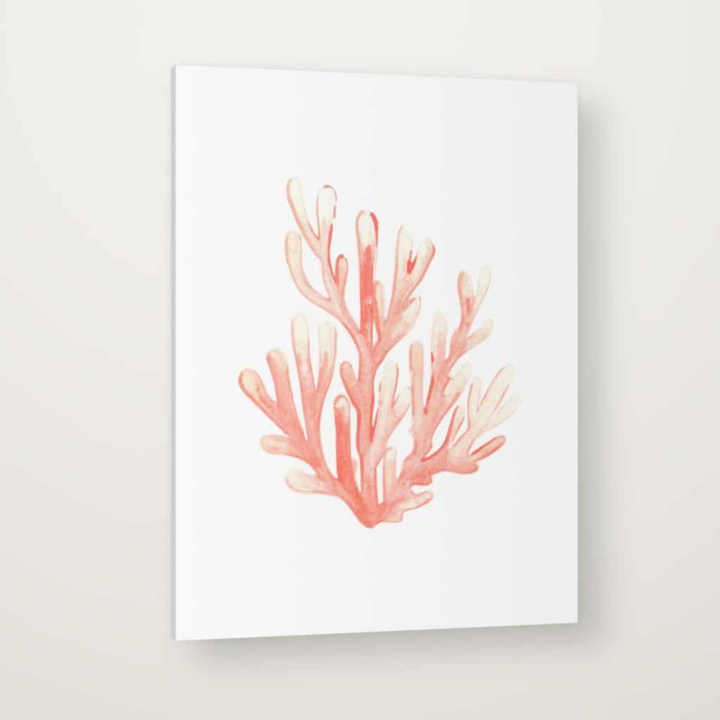 Coral Rosa en canvas con canto en espejo