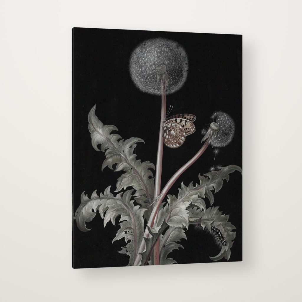 Diente de León en canvas con canto en espejo