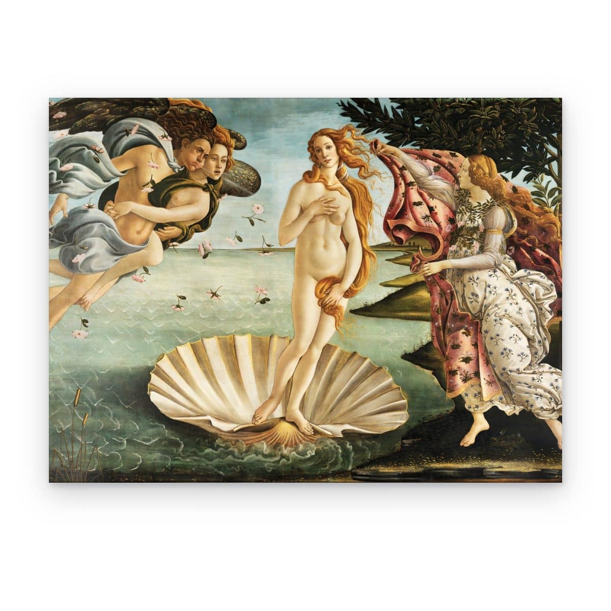 Cuadro El Nacimiento de Venus de Botticelli impreso en canvas
