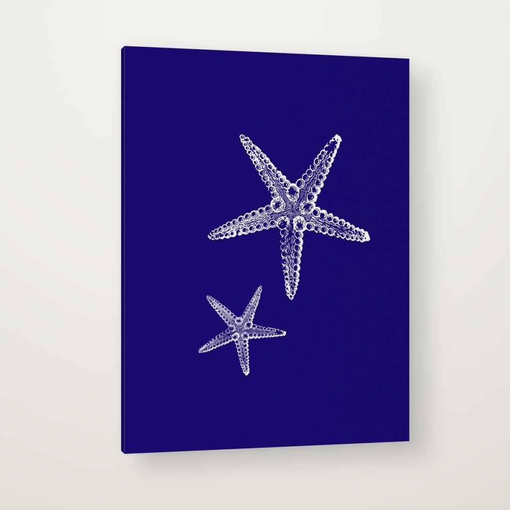 Estrellas de Mar Índigo en canvas con canto en espejo