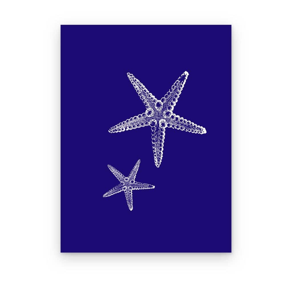 Cuadro Estrellas de Mar Índigo impreso en canvas, estrellas de mar blancas sobre azul índigo