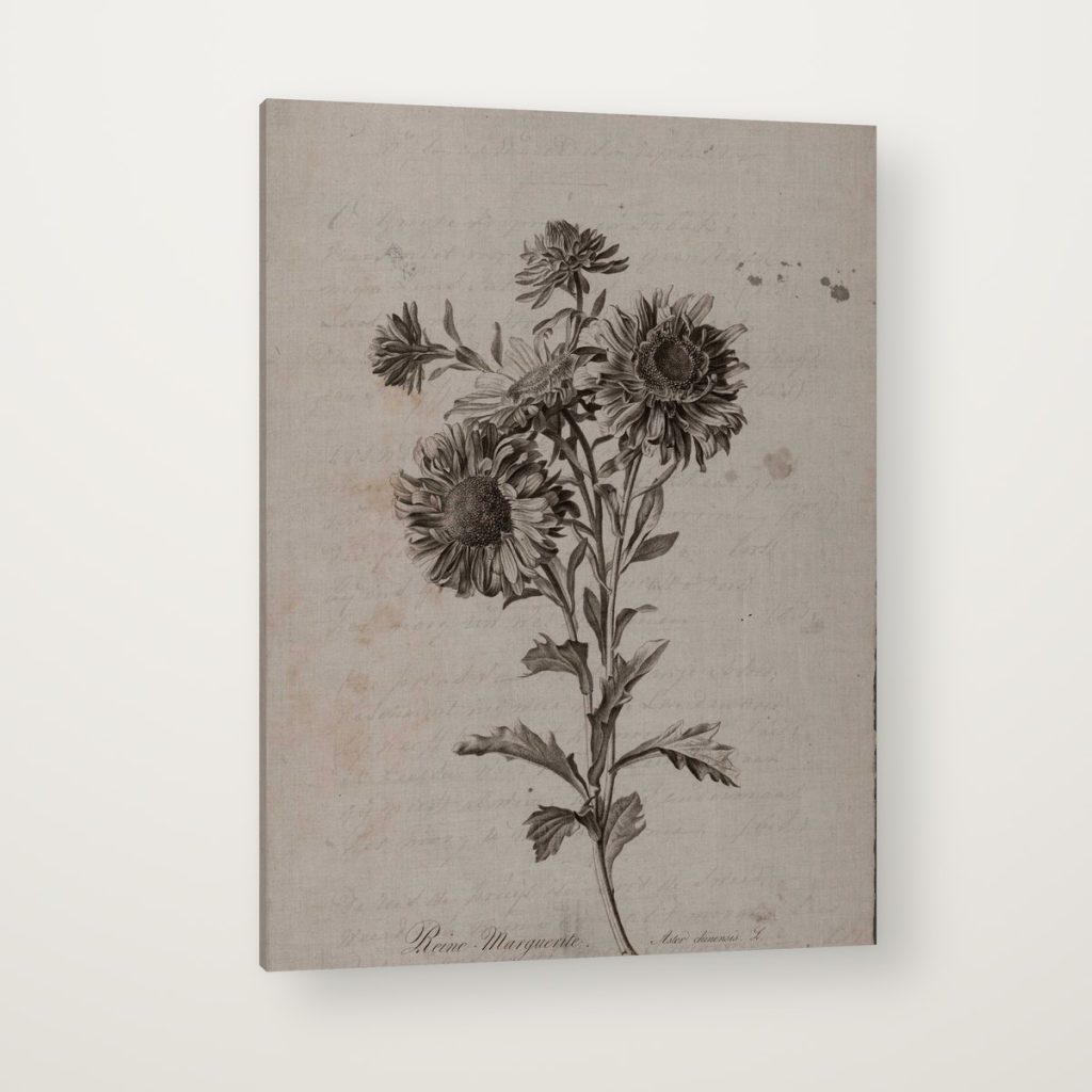 Flor de Herbario en canvas con canto en espejo