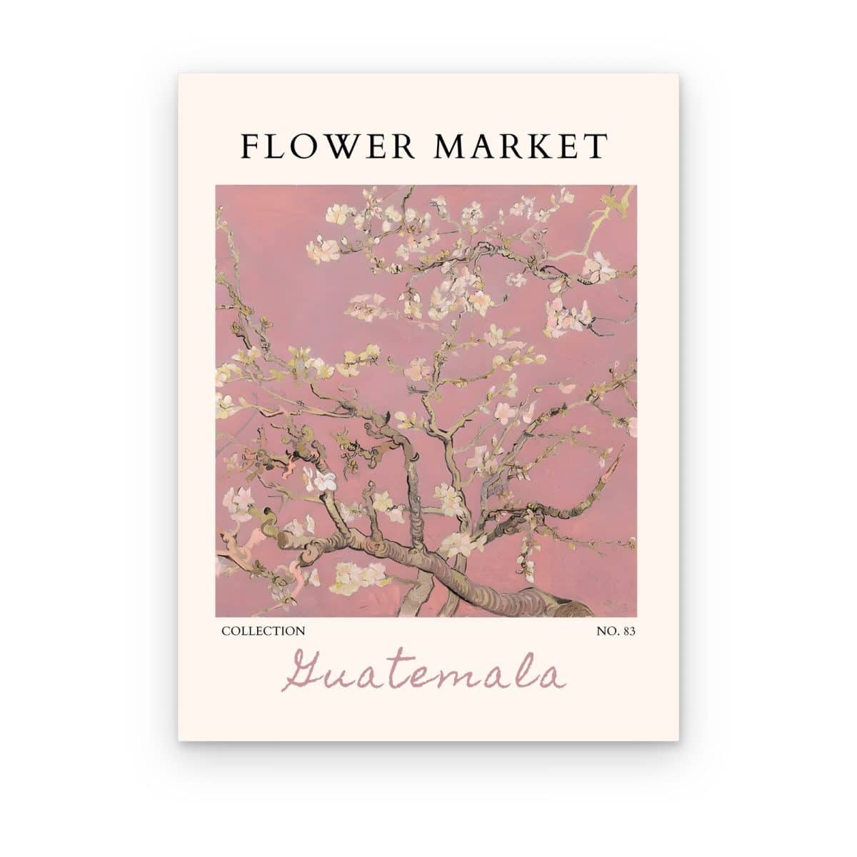 Cuadro Flower Market Guatemala impreso en canvas, ramas de almendro en flor blancas sobre fondo rosa