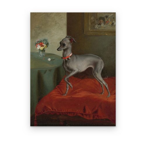 Galgo sobre Cojín Rojo