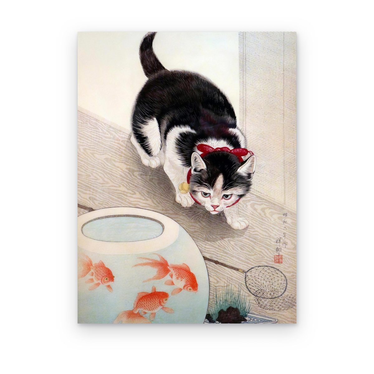 Cuadro Gato y Pecera impreso en canvas, gato blanco y negro mirando una pecera con peces dorados