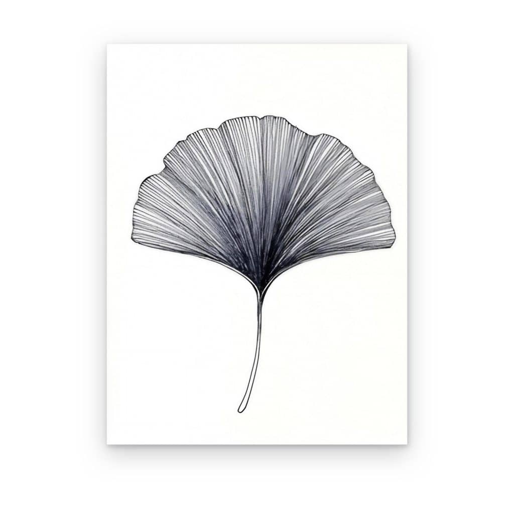 Cuadro Hoja de Ginkgo impreso en canvas, hoja dibujada con líneas negras sobre blanco