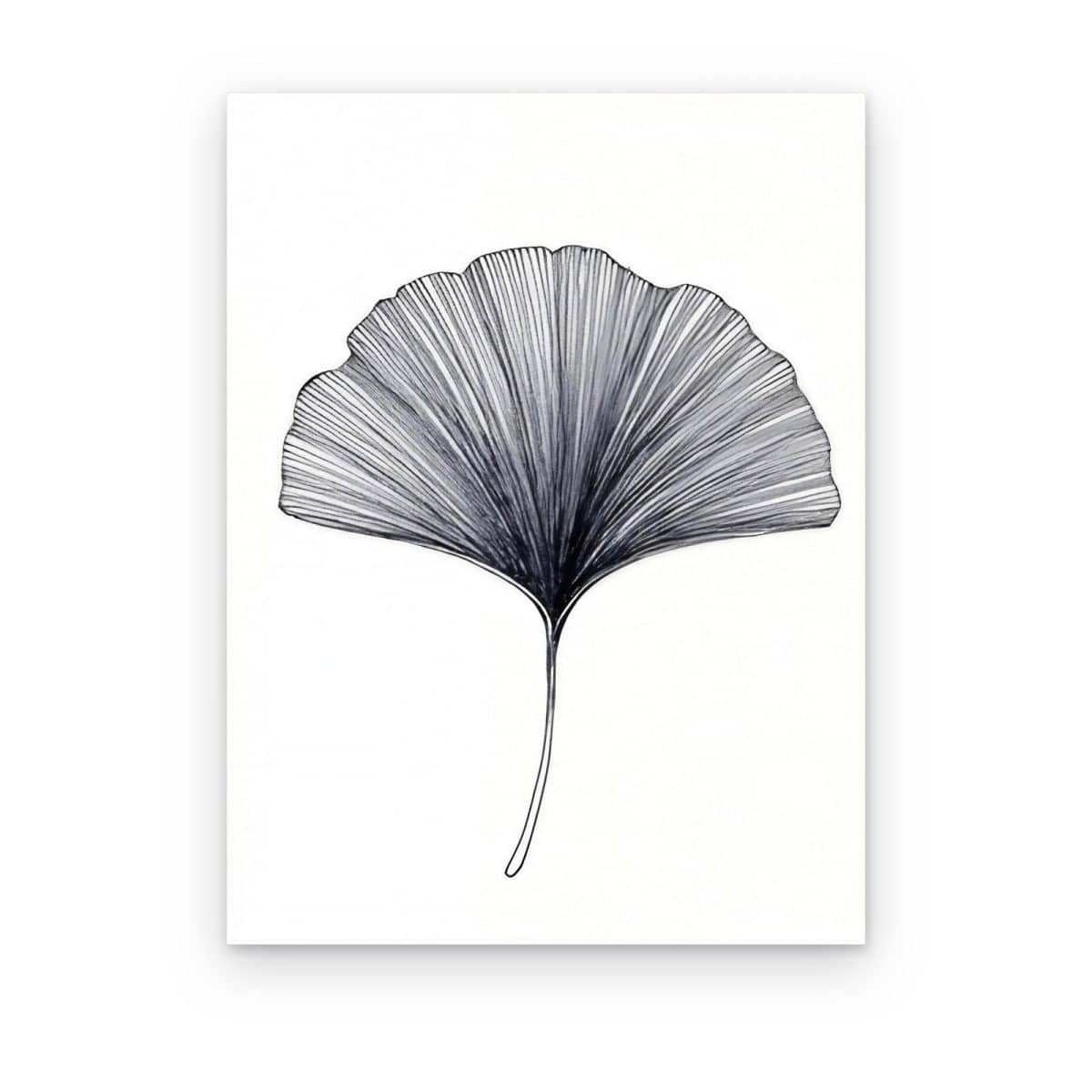 Cuadro Hoja de Ginkgo impreso en canvas, hoja dibujada con líneas negras sobre blanco