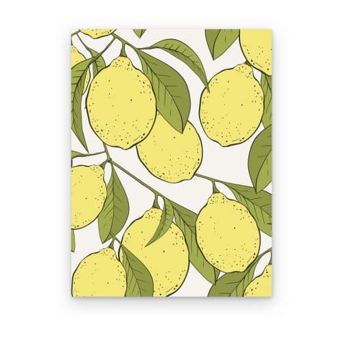 Huerto de Limones