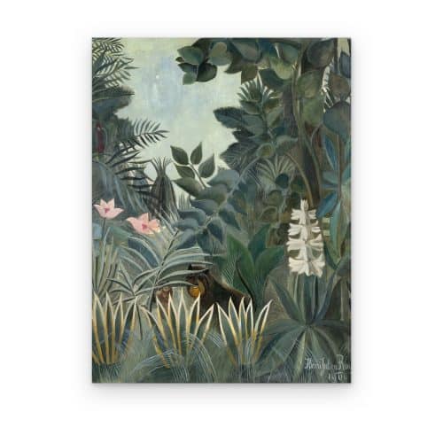 La Selva Ecuatorial